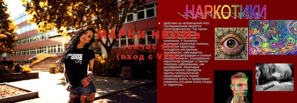 кокс Алзамай