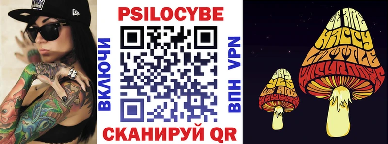 сколько стоит  Кызыл  ОМГ ОМГ tor  Псилоцибиновые грибы Cubensis 