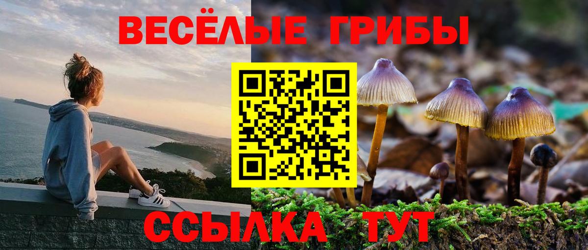 Галлюциногенные грибы мицелий  Вход с VPN  Кызыл  Галлюциногенные грибы мухоморы 